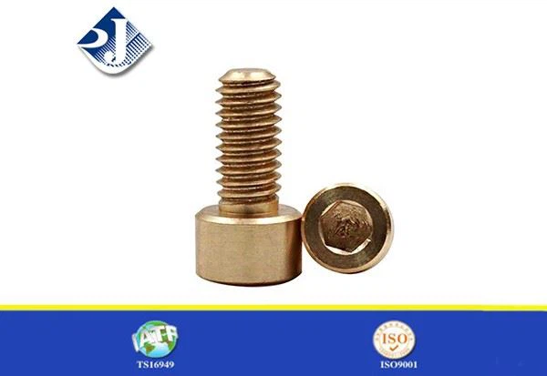 Hex Socket Head Bolts